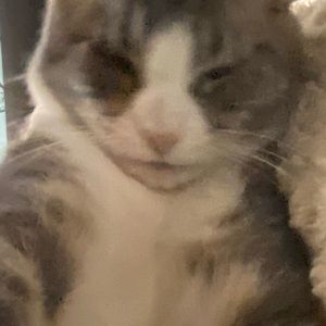 Meet your Posher, Sean